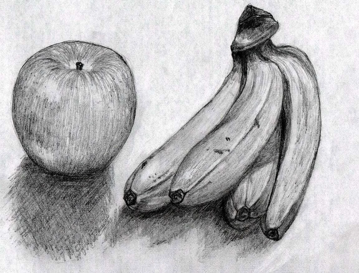 Фрукты карандашом