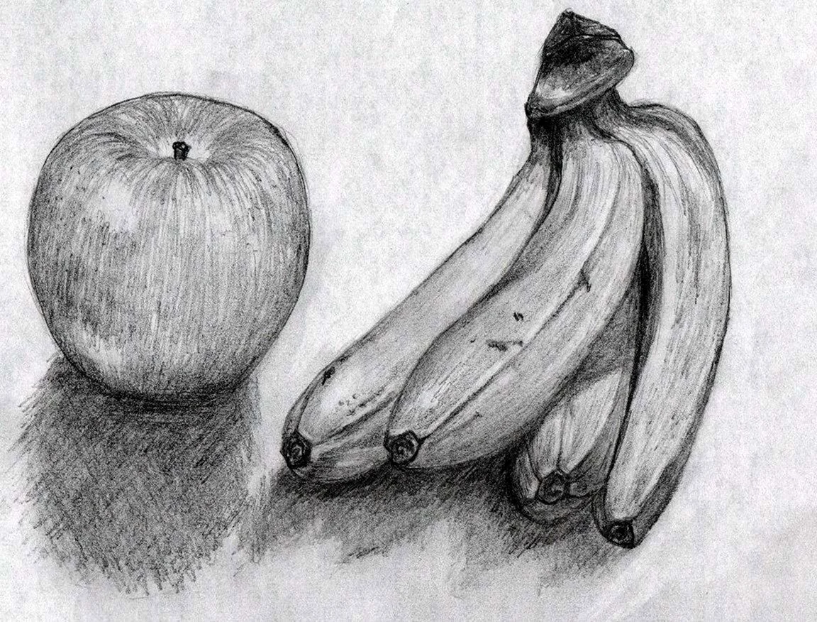 Фрукты карандашом