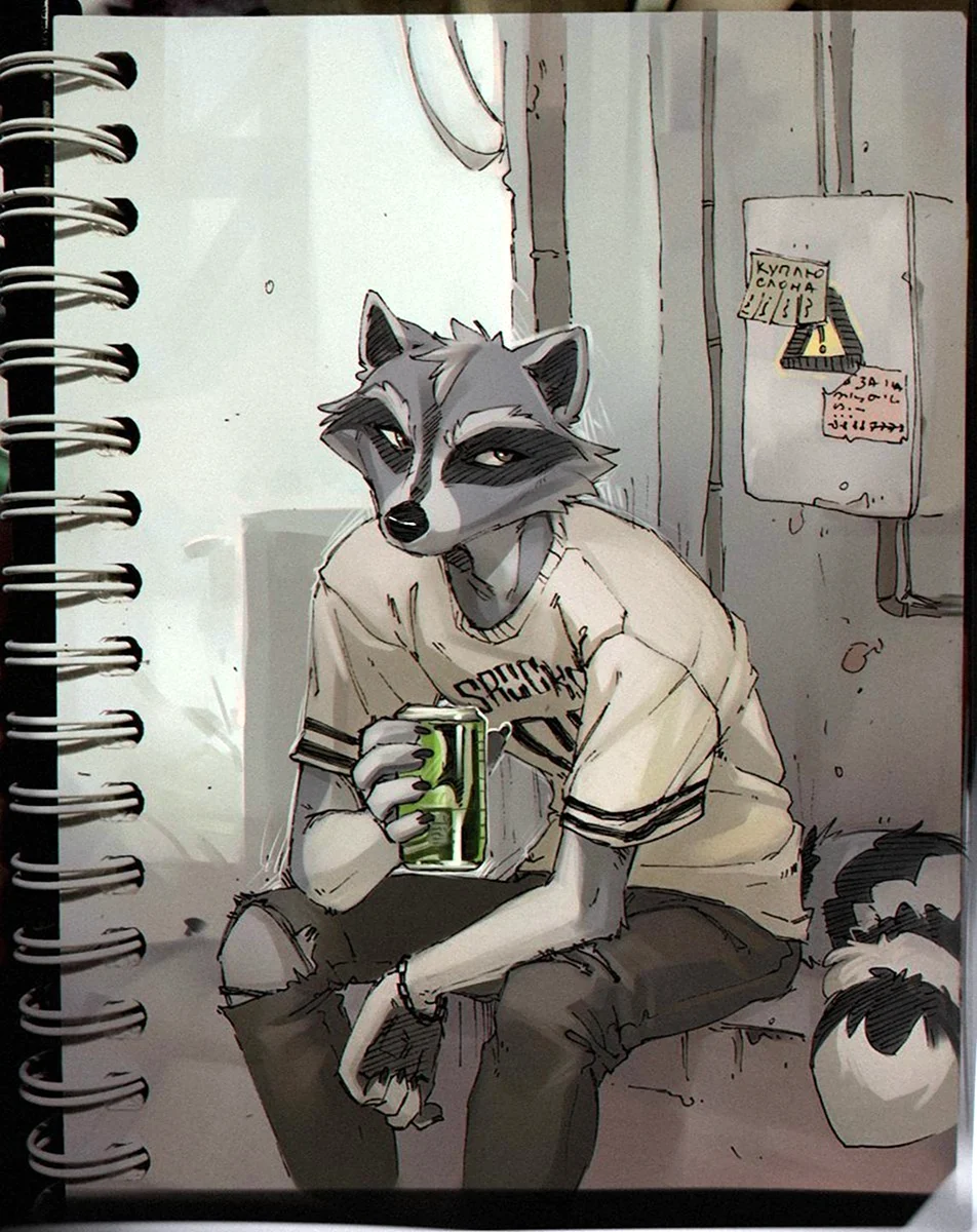 Фурри арт Raccoon