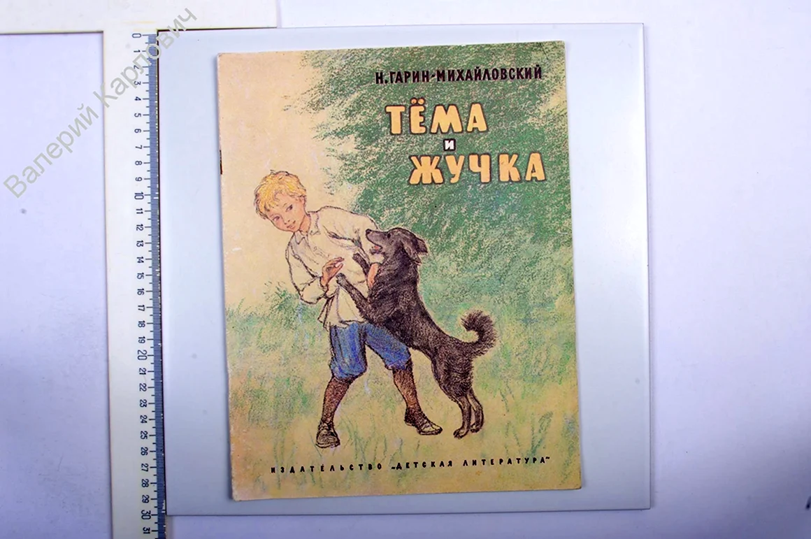 Гарин-Михайловский тёма и жучка