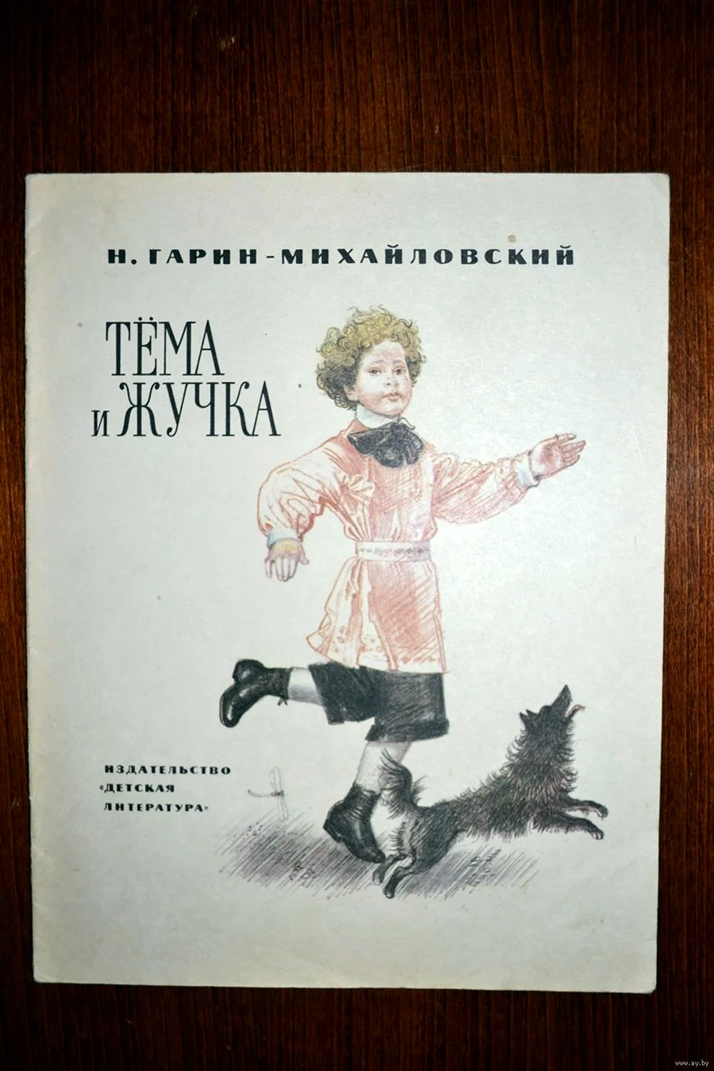 Гарин-Михайловский тёма и жучка