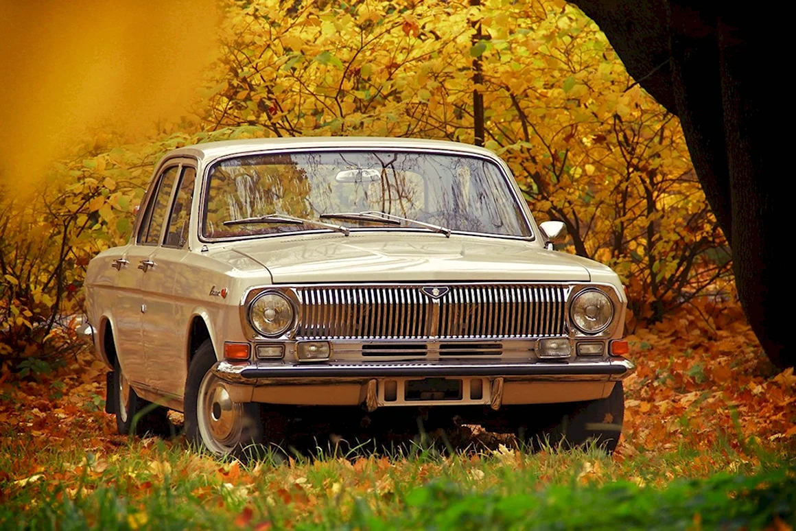 ГАЗ 24