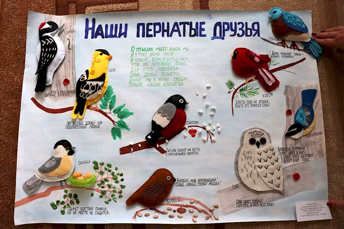 Газета ко Дню птиц