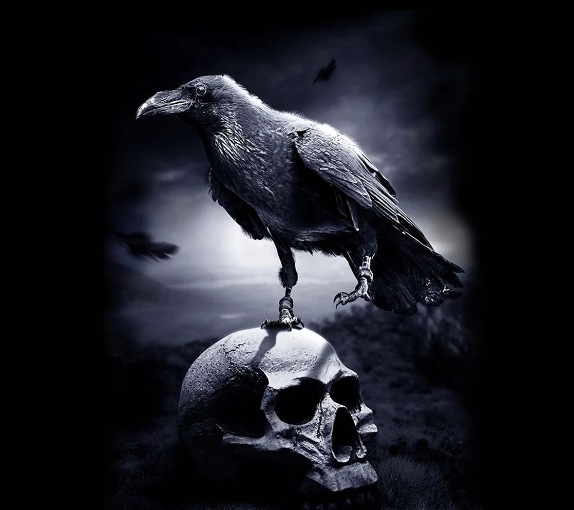 Гегнер Raven Dark