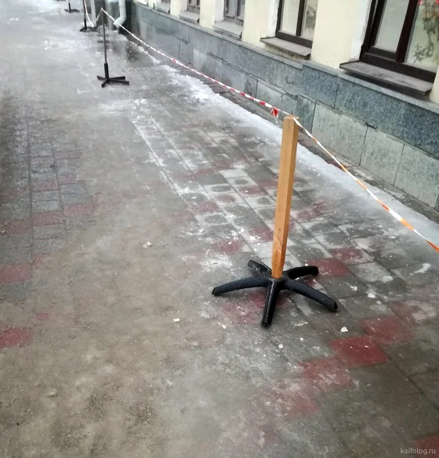 Гении среди нас