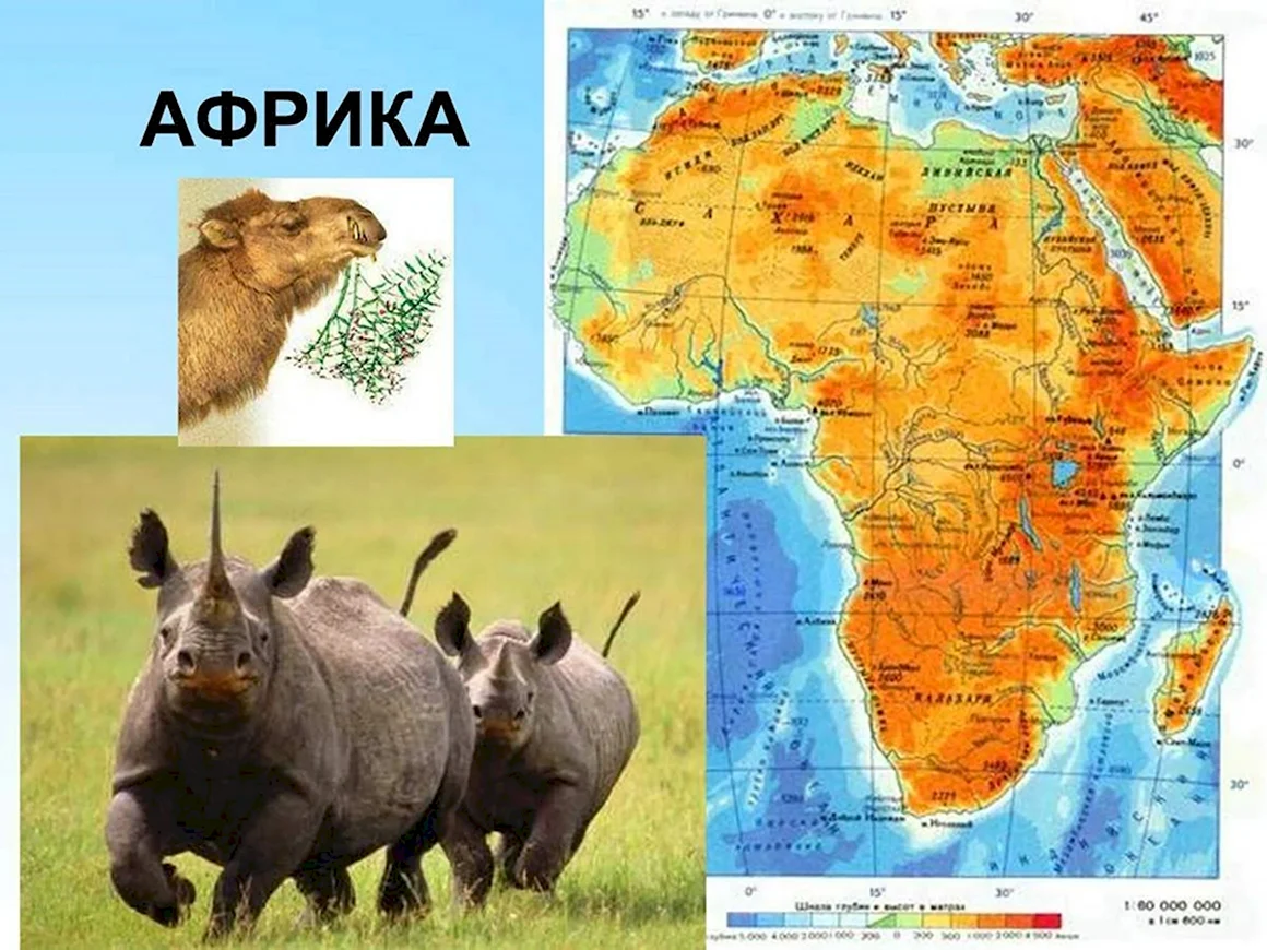География Африки