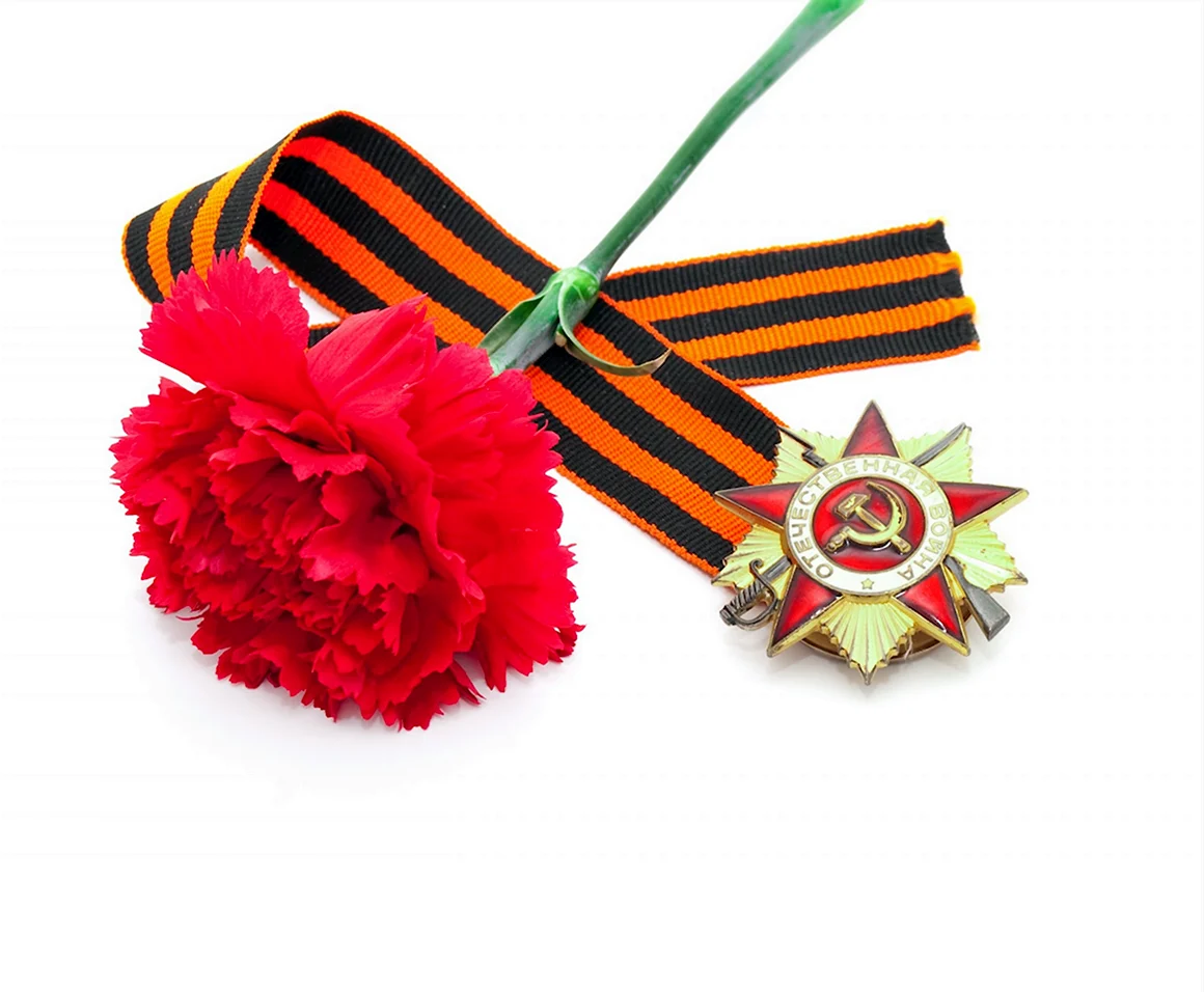 Георгиевская лента с гвоздикой