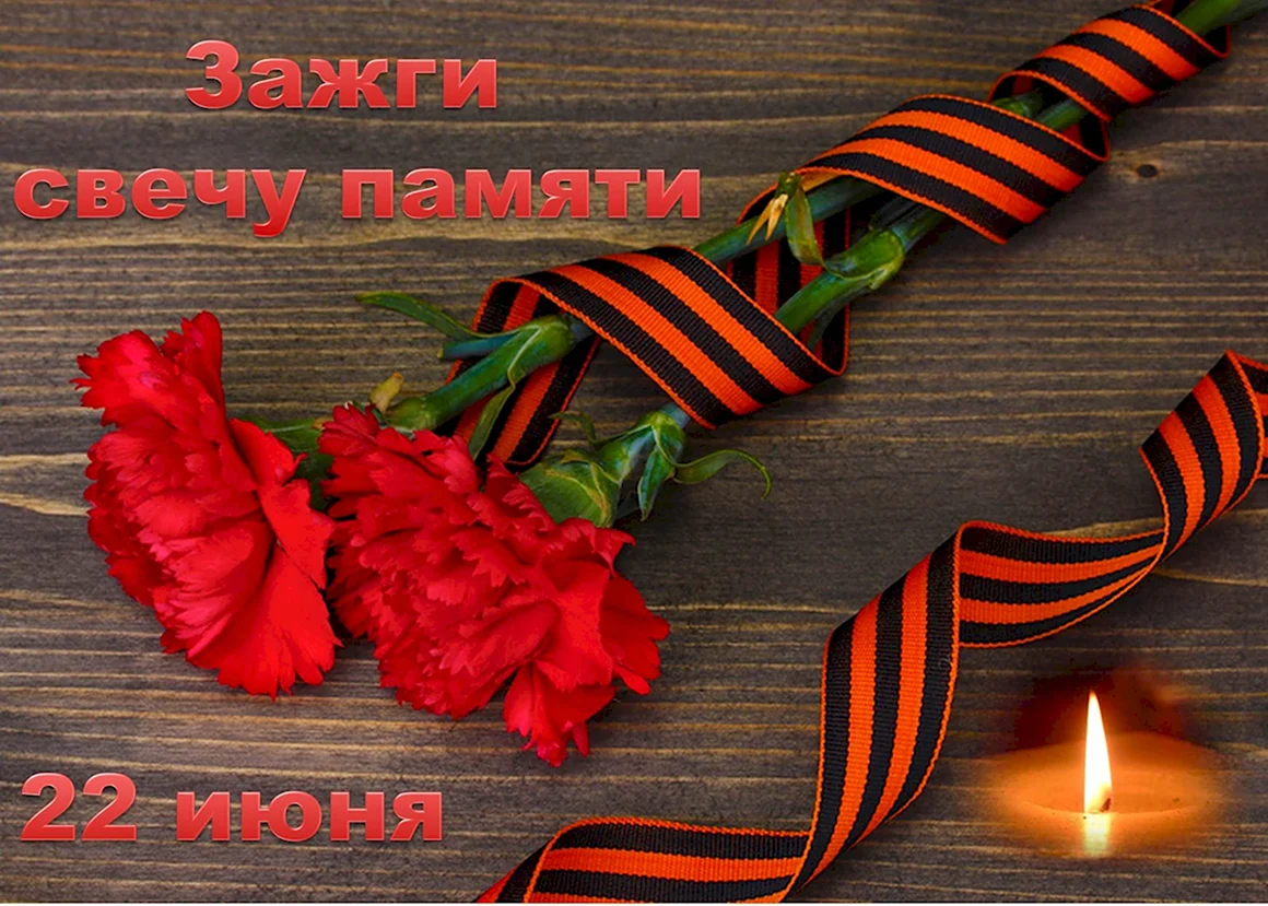 Георгиевская лента с гвоздикой