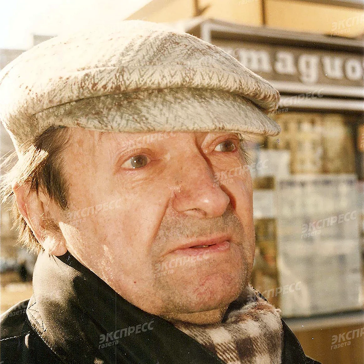 Георгий Вицин