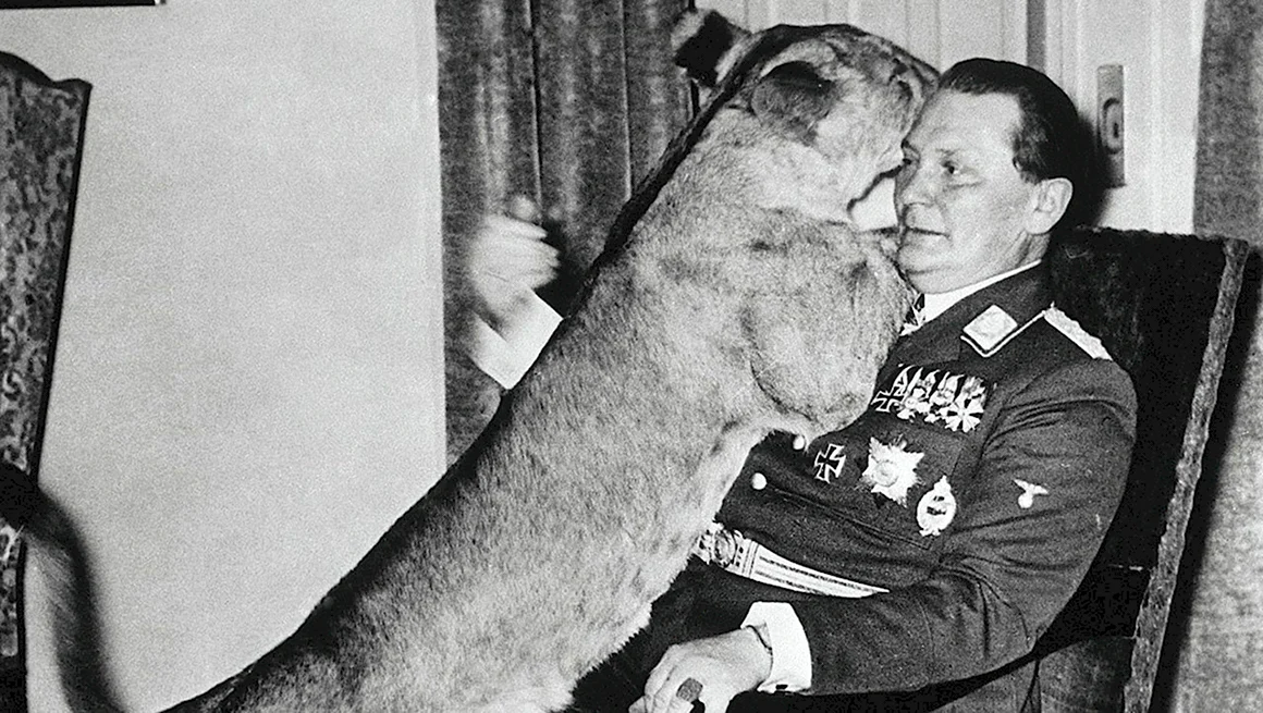 Герман Геринг 1933