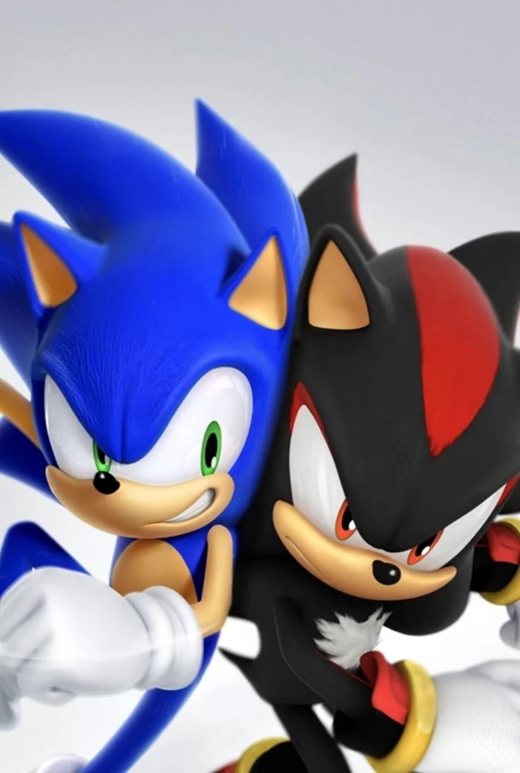Герои игры Sonic the Hedgehog
