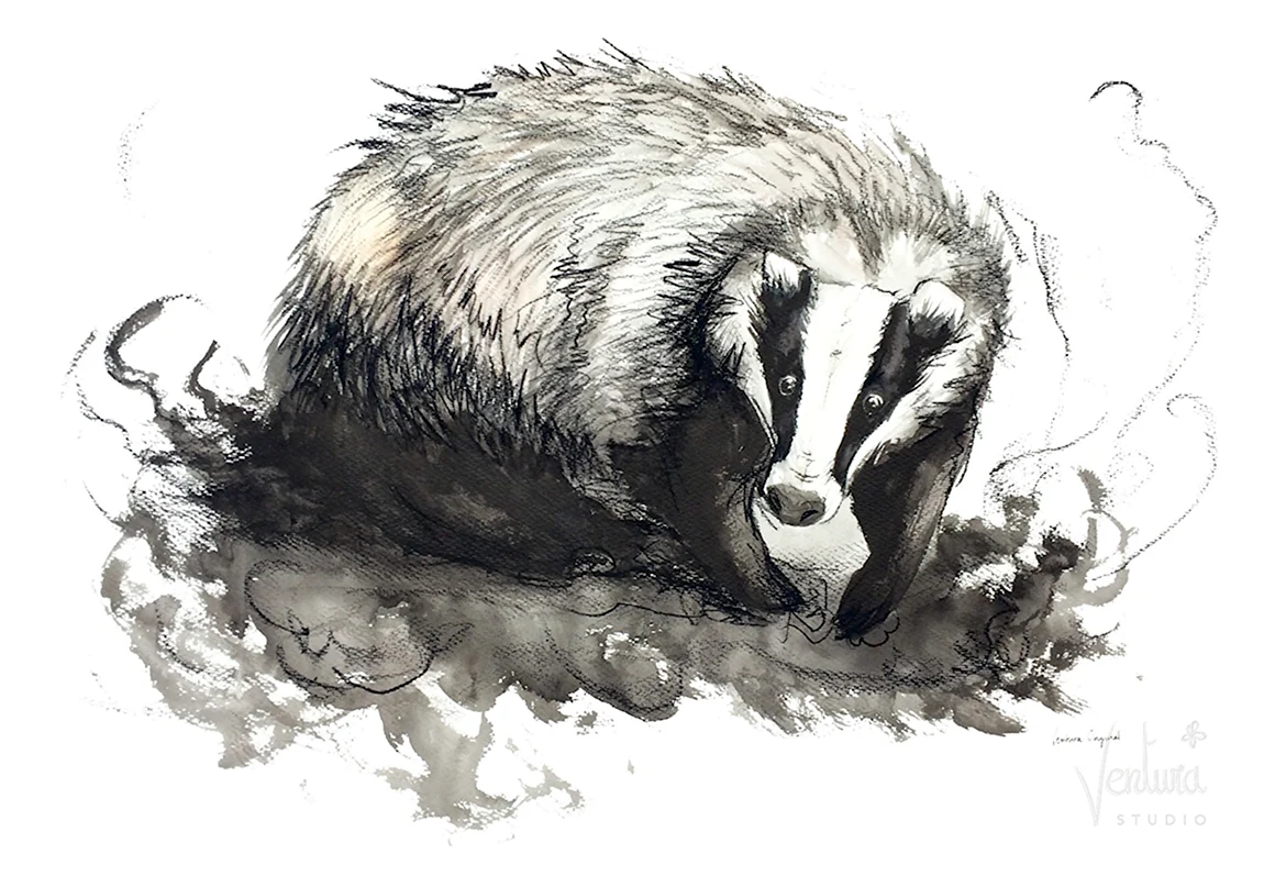 Giant Badger