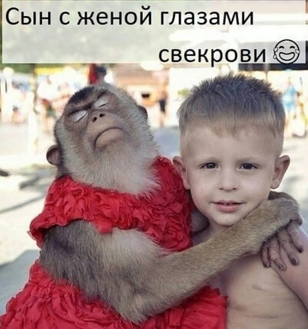 Глазами свекрови