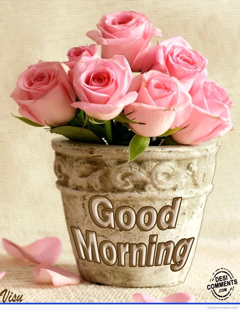 Good morning цветы