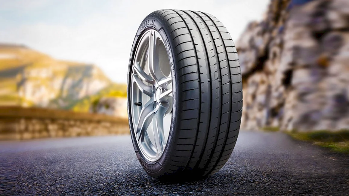 Goodyear Dunlop Sava Tires