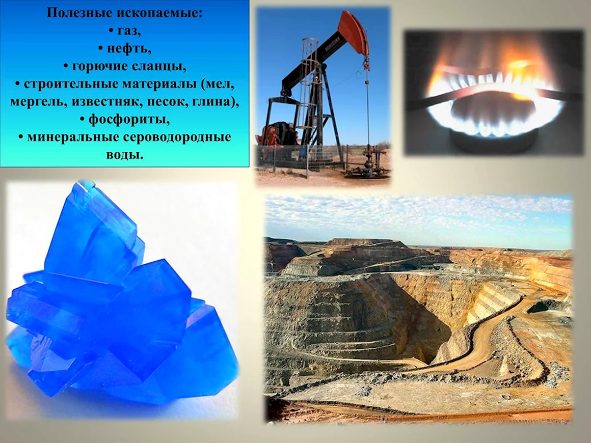 Горючие сланцы это Минеральные ресурсы