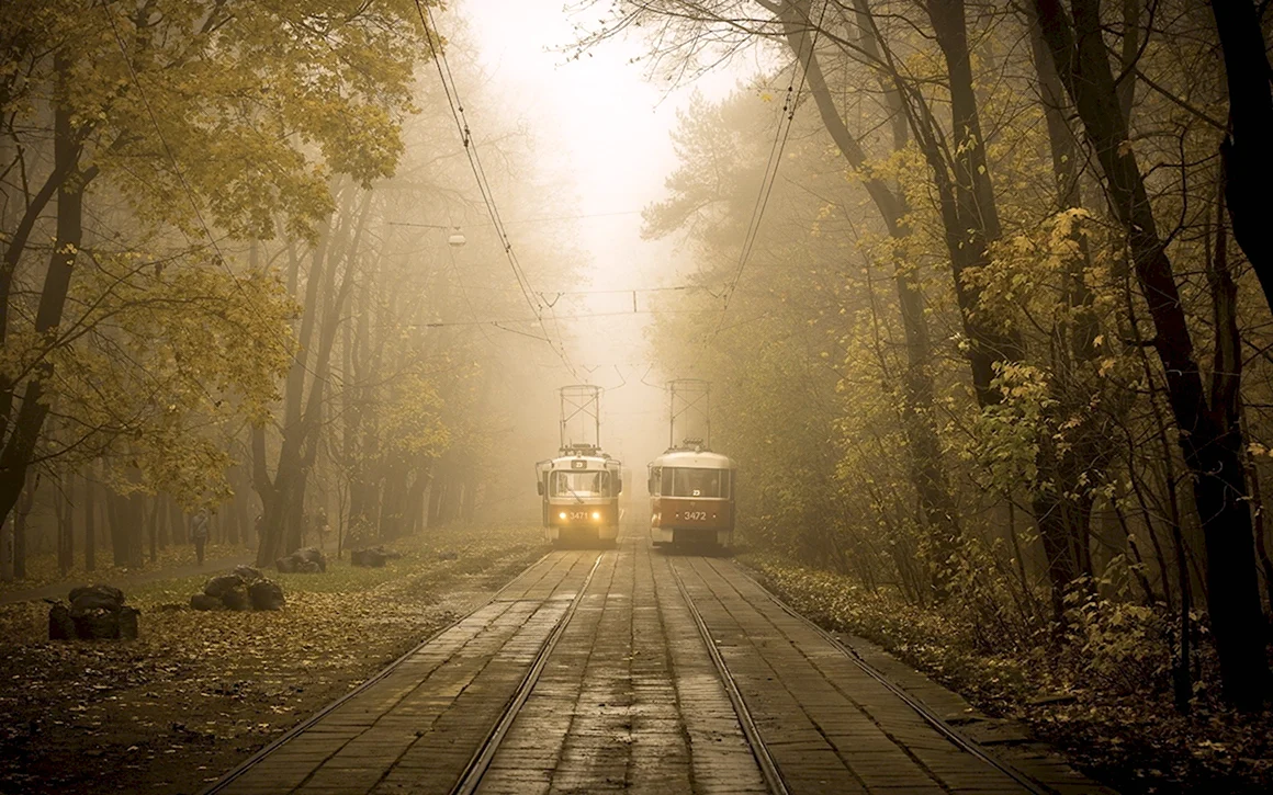 Город в тумане