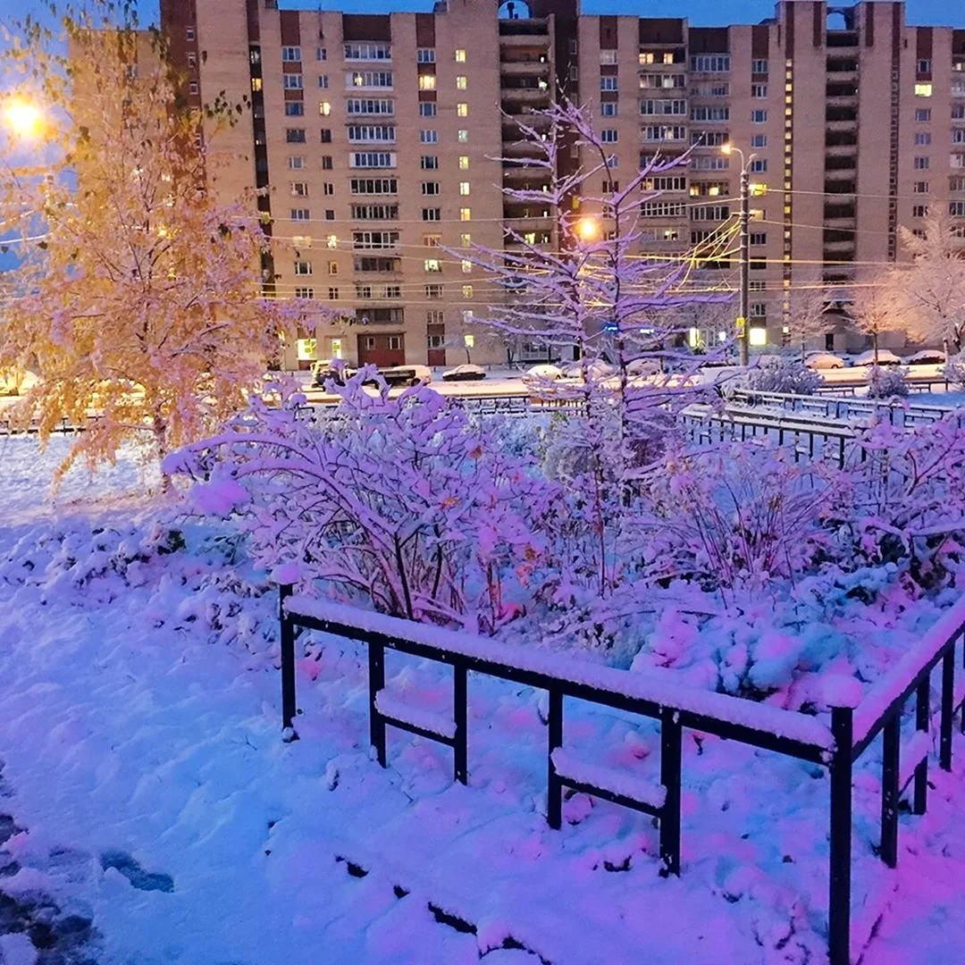 Городской парк потепление зима