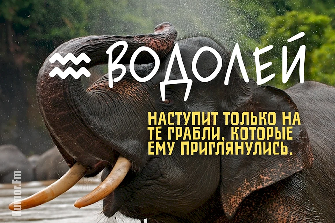 Грабли знаков зодиака