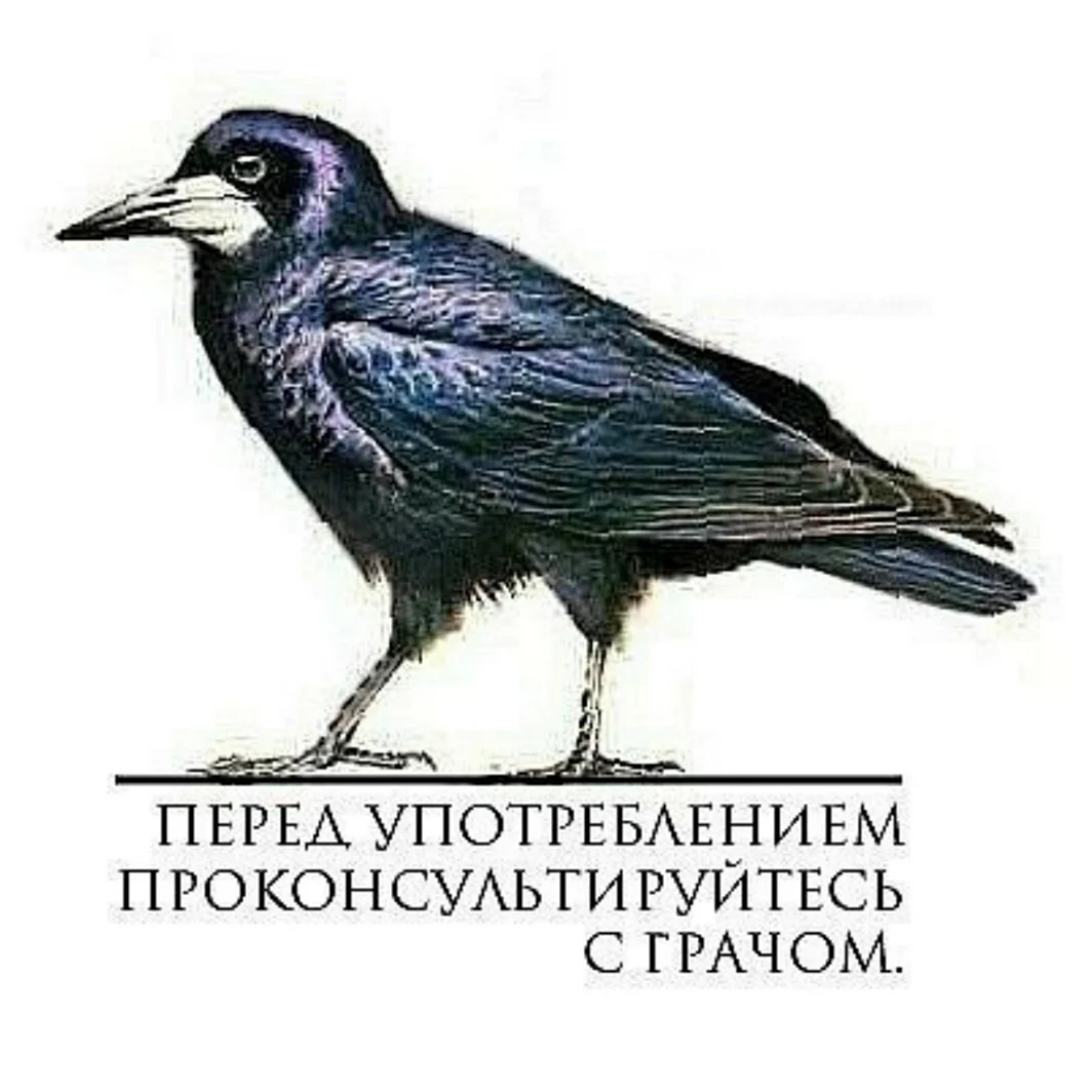Грач