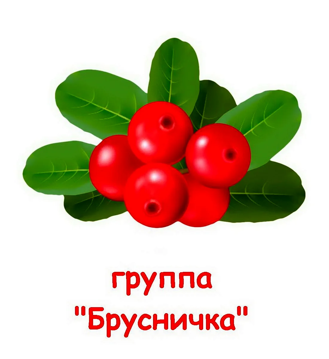 Группа Брусничка в детском саду