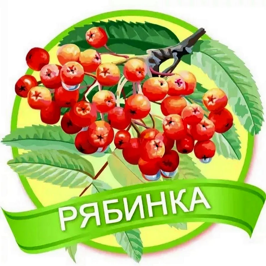 Группа Рябинка