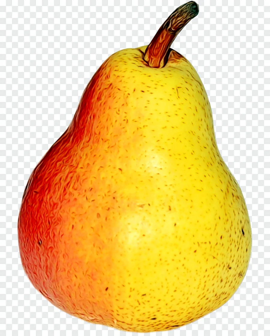 Груша