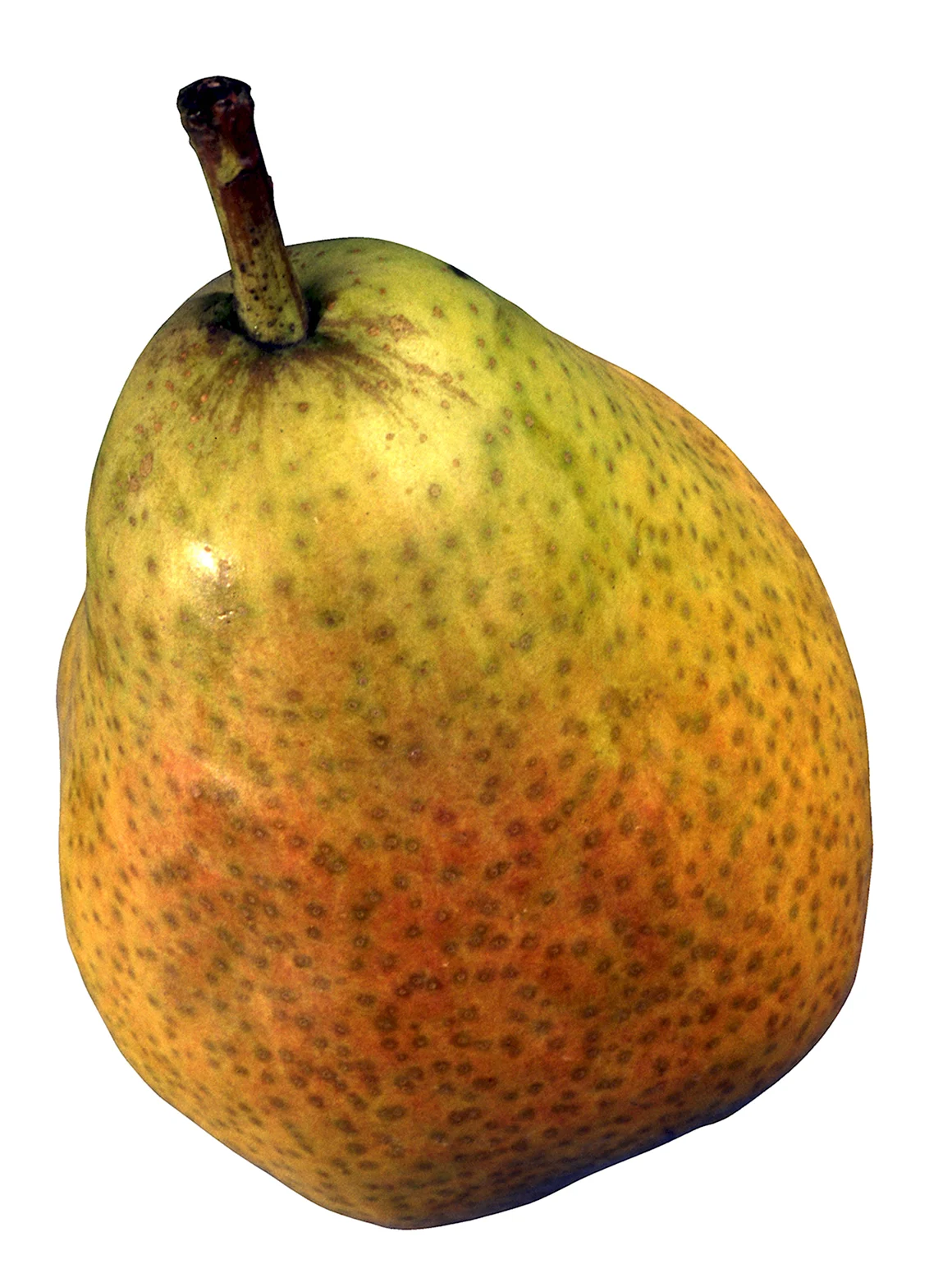 Груша Армут