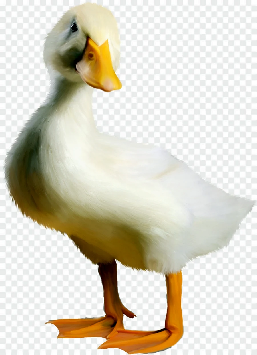 Гусь мультяшный