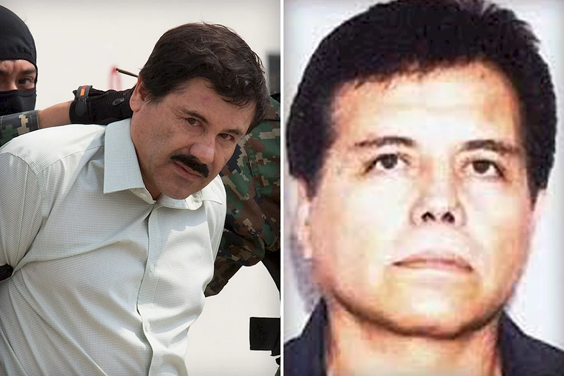 Гусман Синалоа