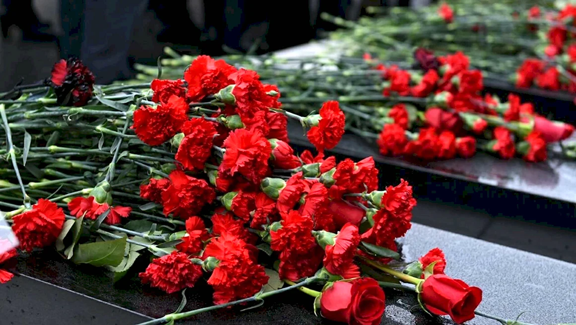 Гвоздики похоронные цветы