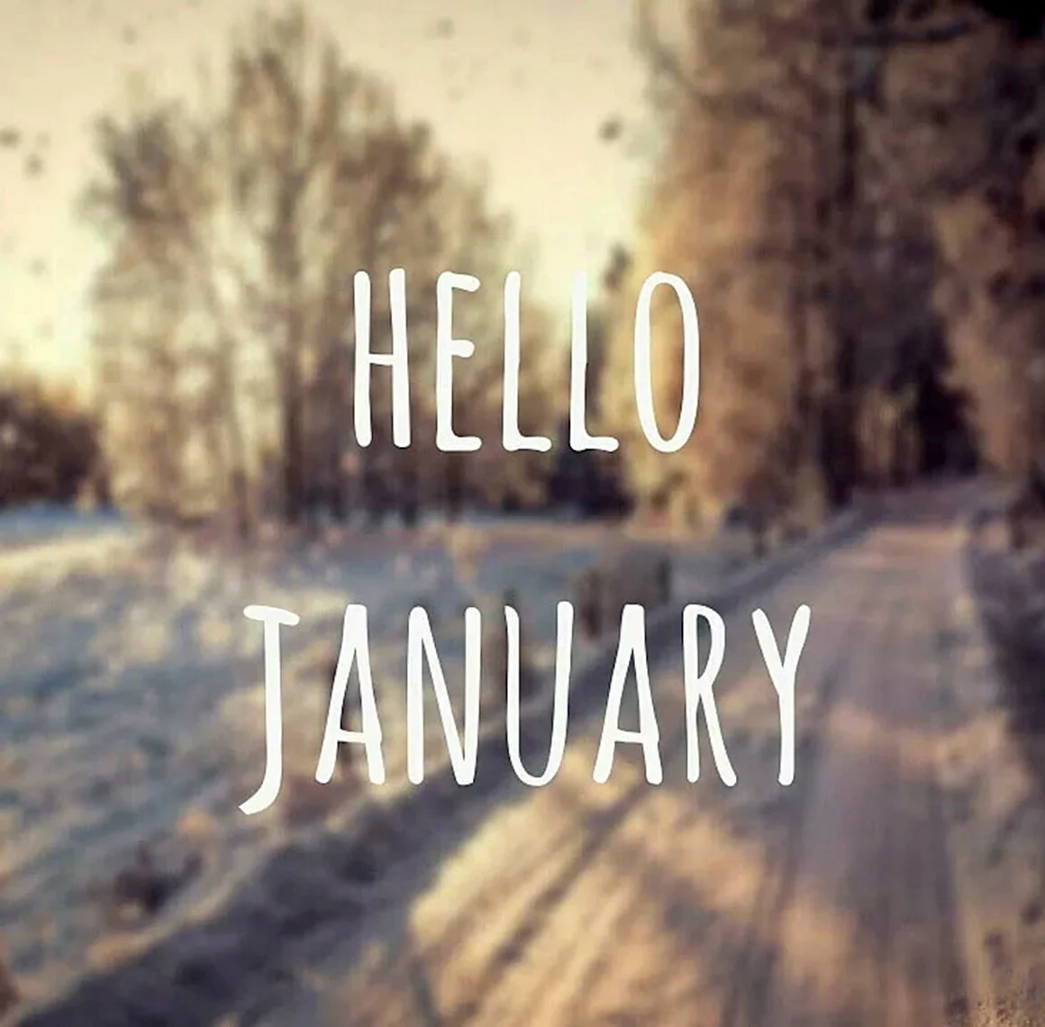 Hello январь