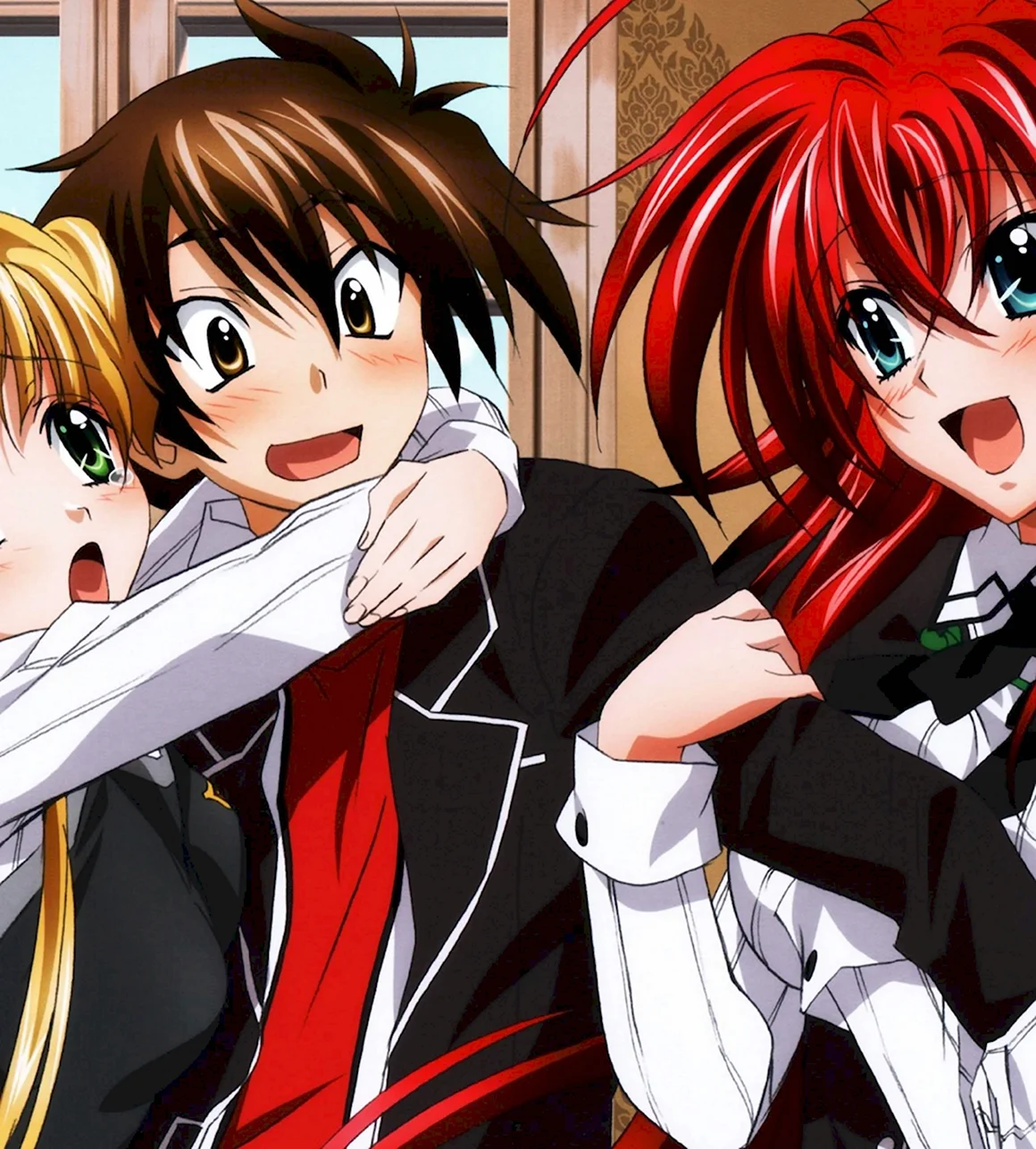 High School DXD «старшая школа DXD» 2012