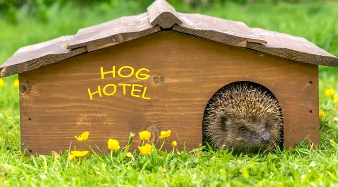 Hoghouse