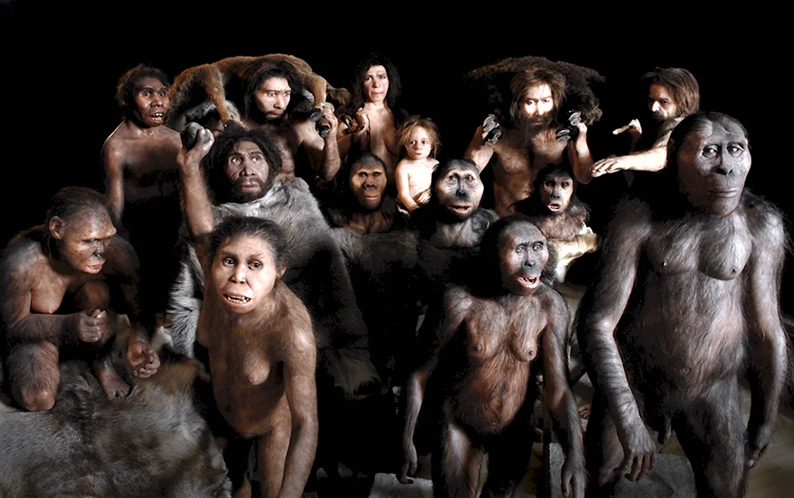 Homo sapiens человек разумный фильм 2005