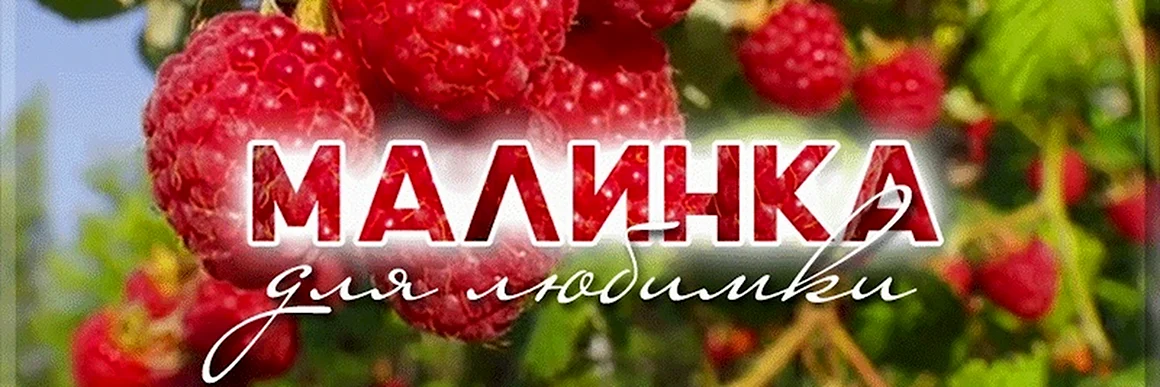 Ягодка Маринка с днем рождения