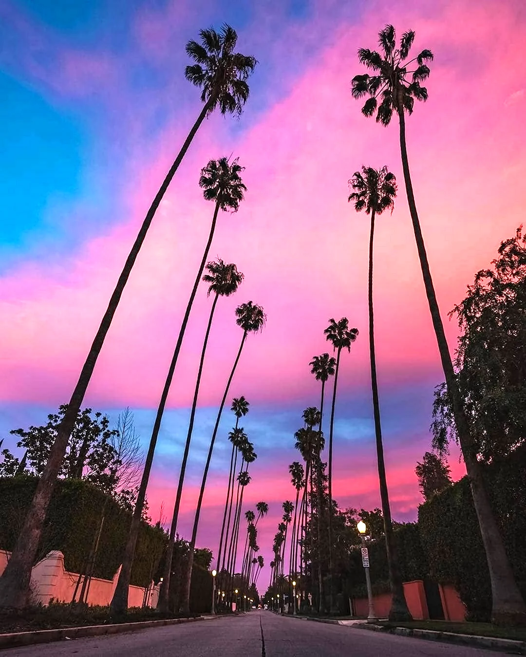 Яна aesthetic