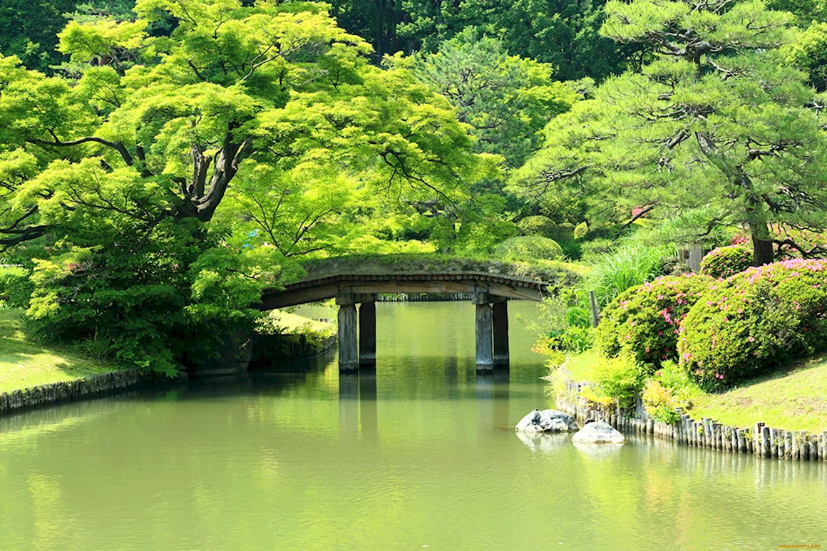 Япония парки пруд Osaka