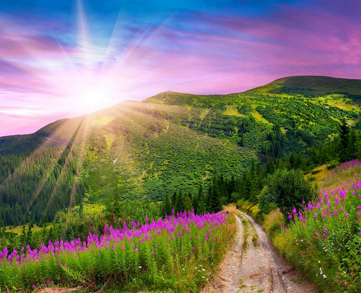 Яркая природа