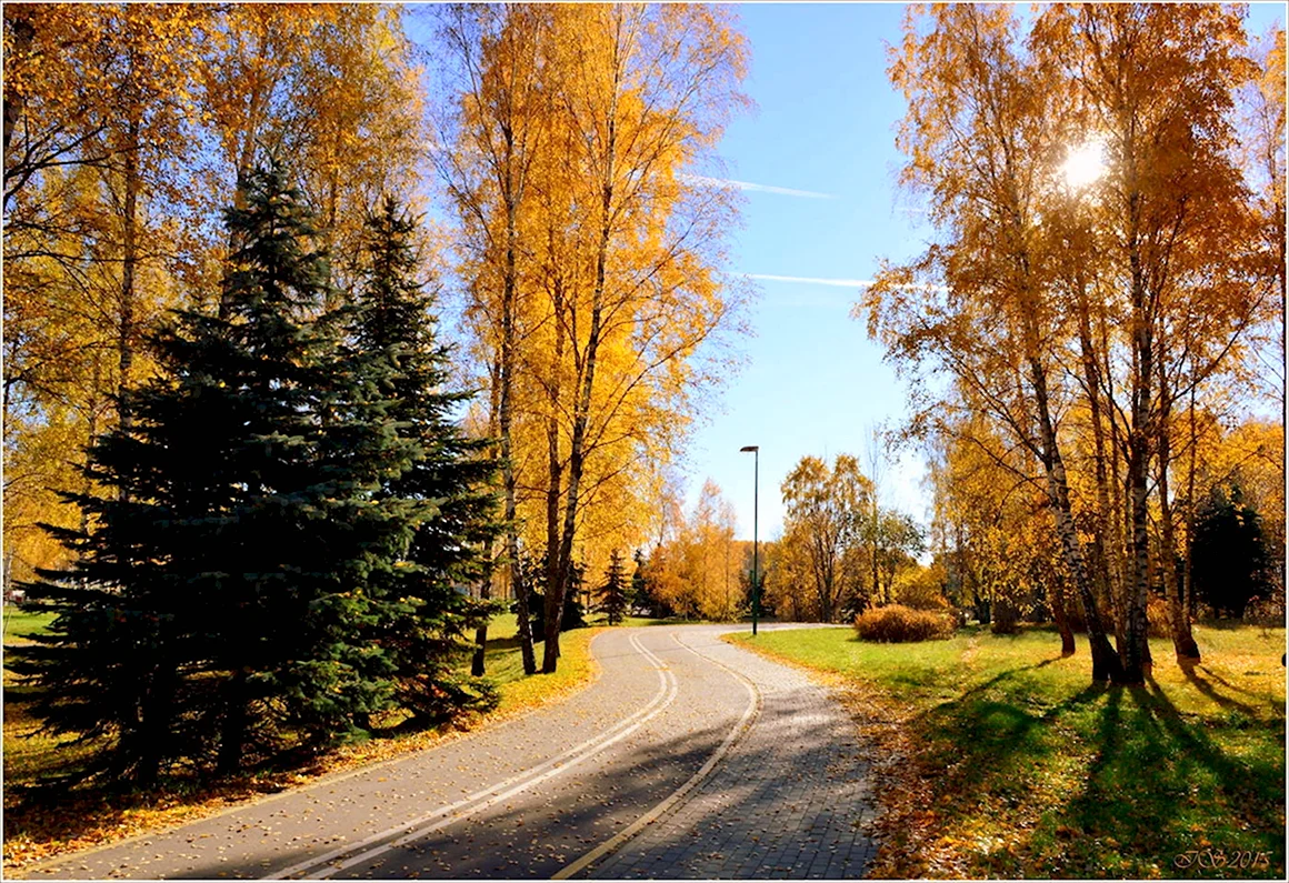 Ясный осенний день