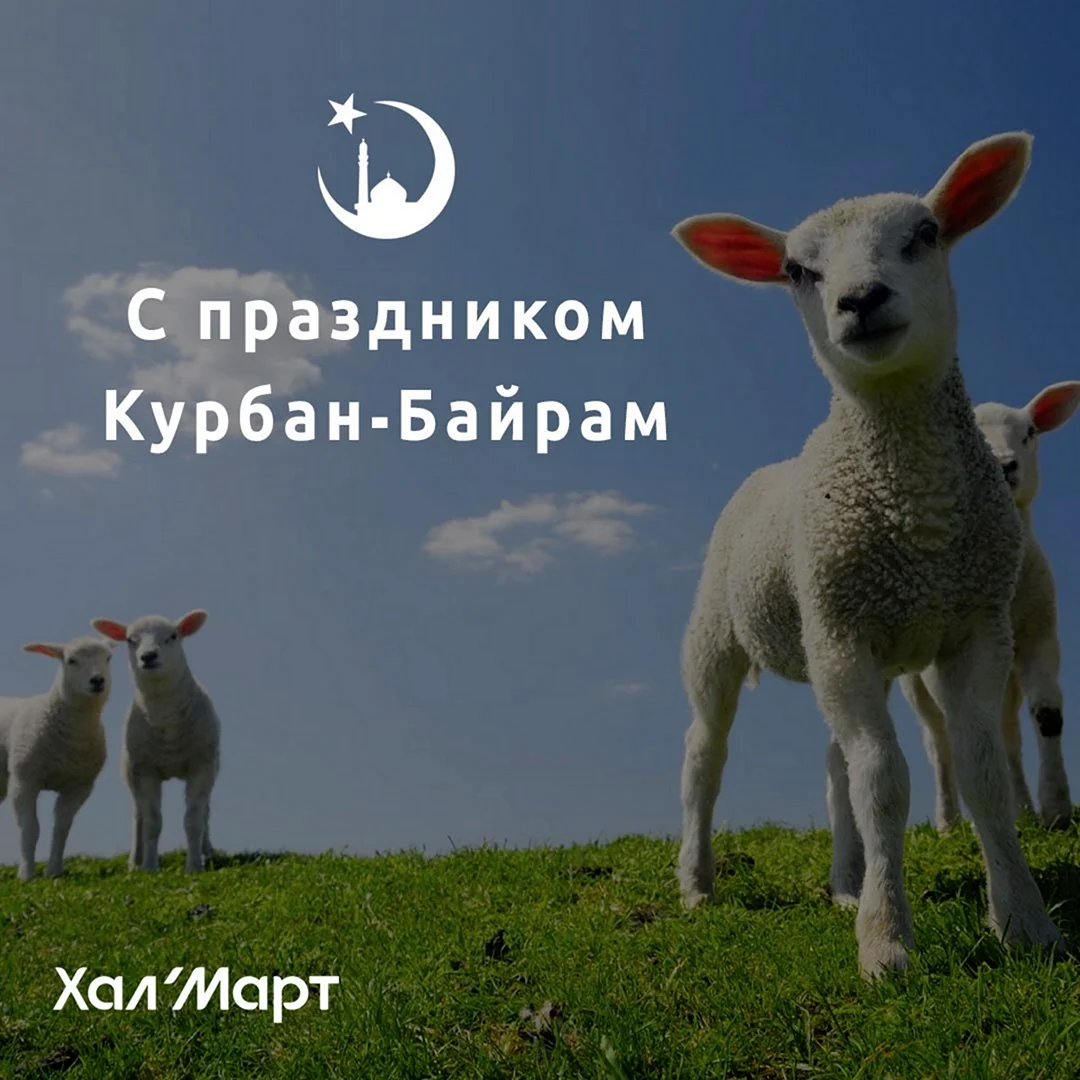 ИД Курбан
