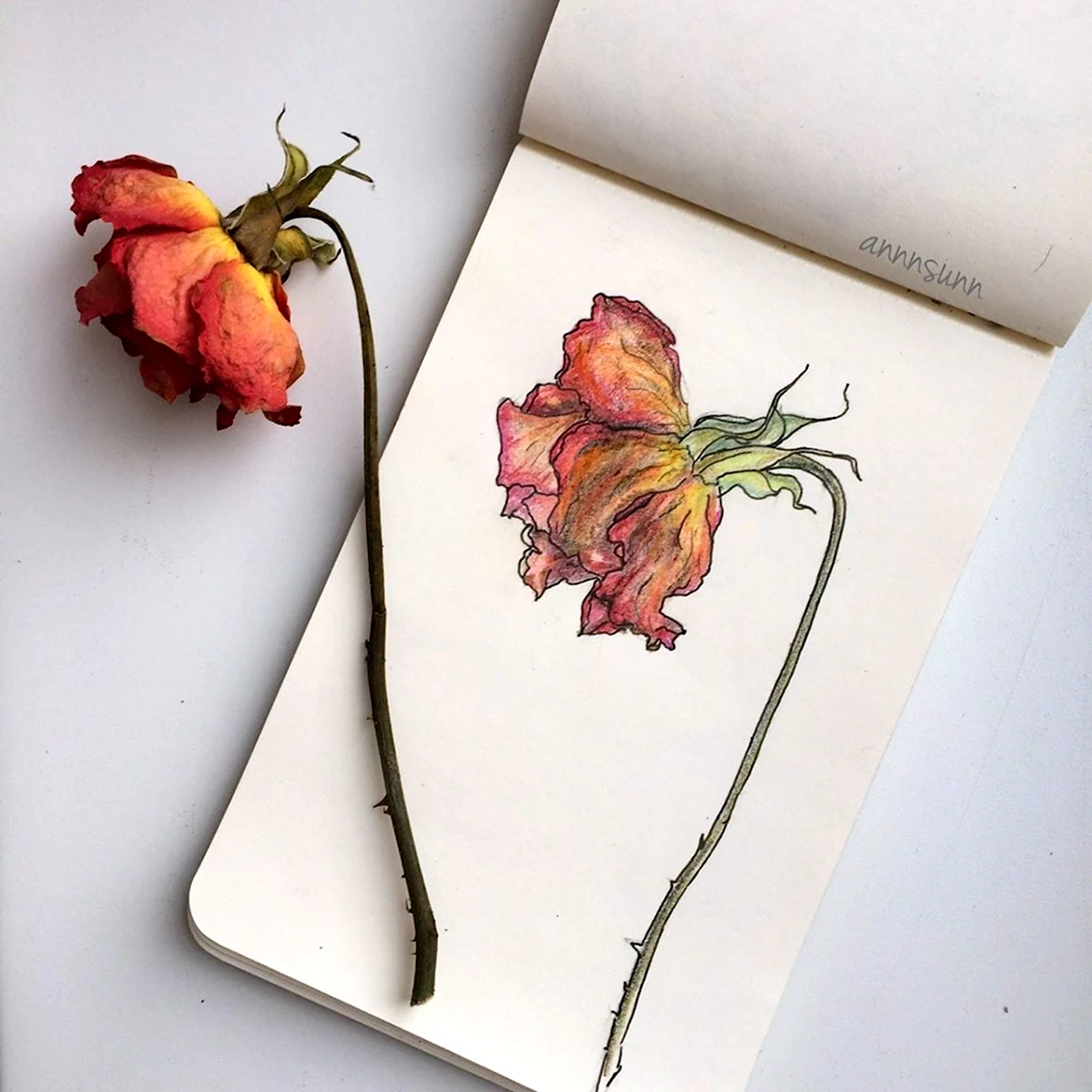 Идеи для рисования акварелью Эстетика