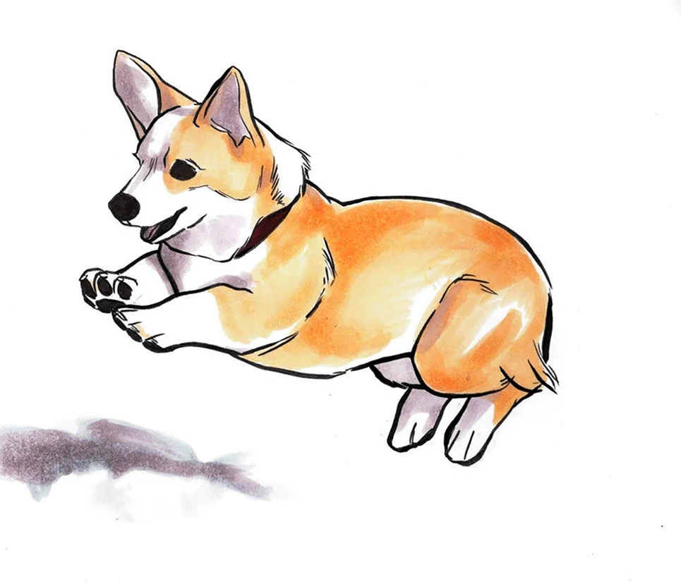 Идеи для рисования с корги