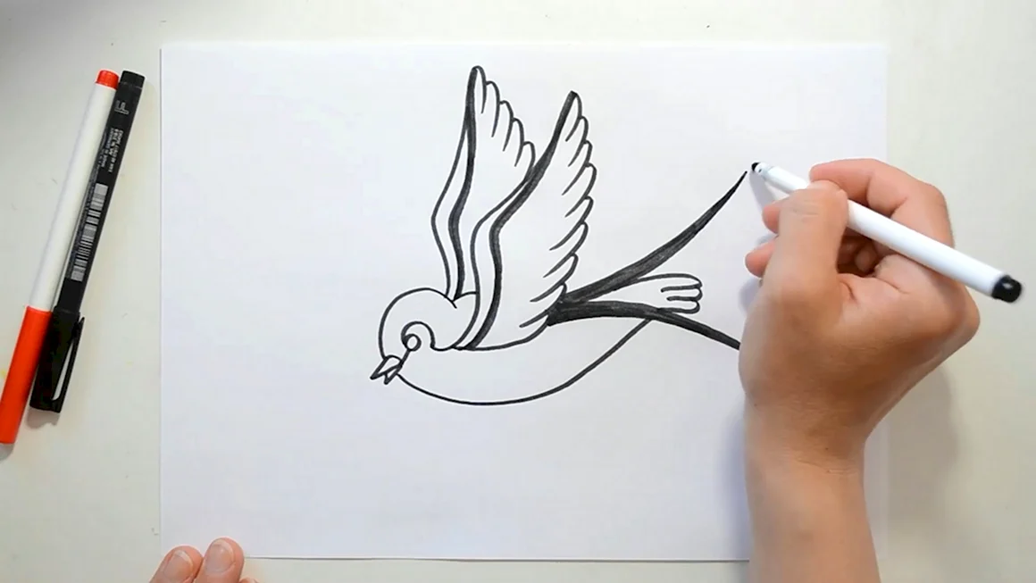 Идеи для рисунков по шагам