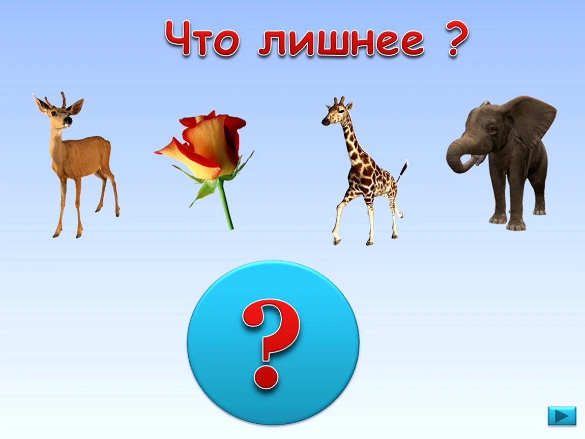 Игра что лишнее