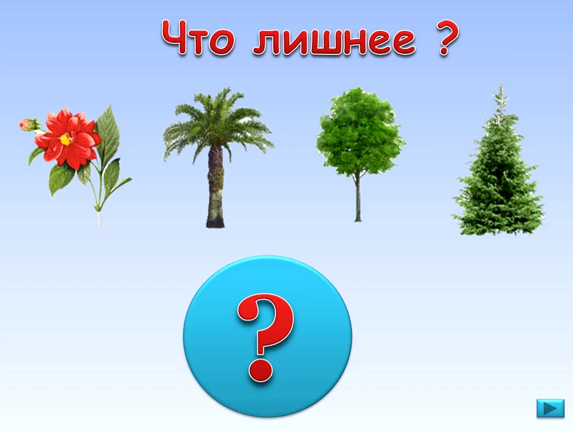Игра что лишнее