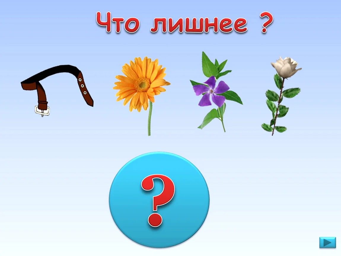 Игра что лишнее