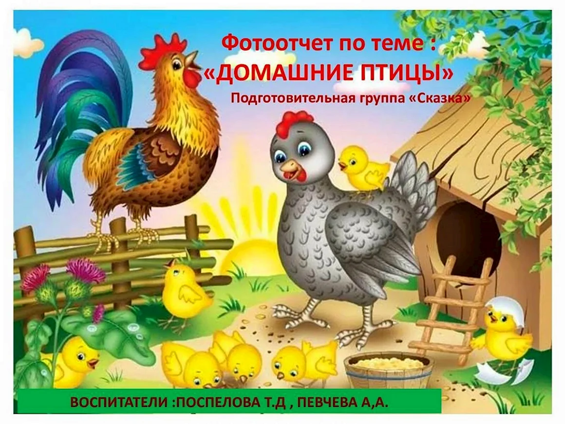 Игра птичий двор Нищева