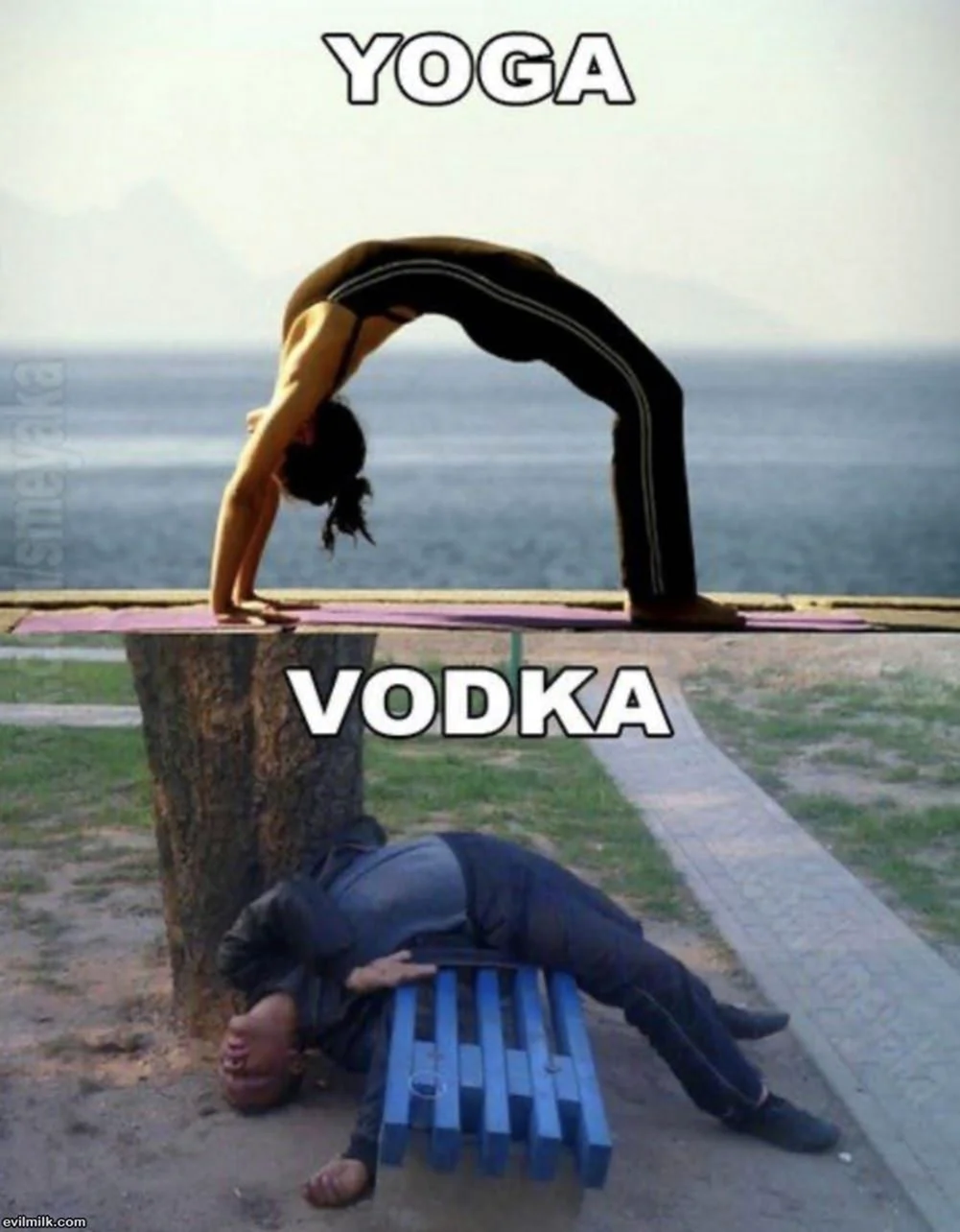 Йога водка