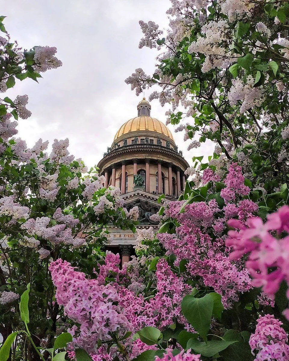 Исаакиевский собор в Санкт-Петербурге Весна